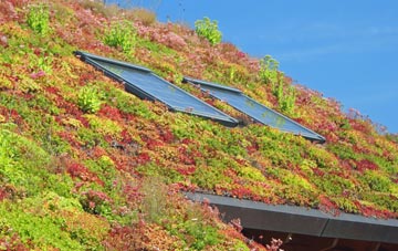 Hillsborough living roof systems