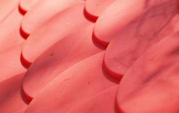 Hillsborough plastic roof costs